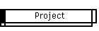 Project