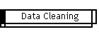 Data Cleaning