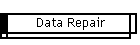 Data Repair