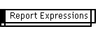 Report Expressions